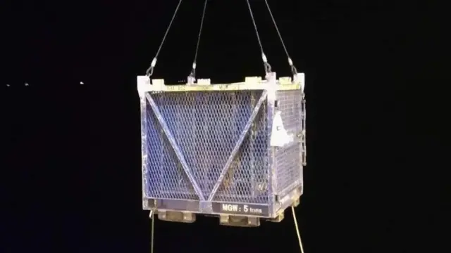 कुत्र्याची सुटका