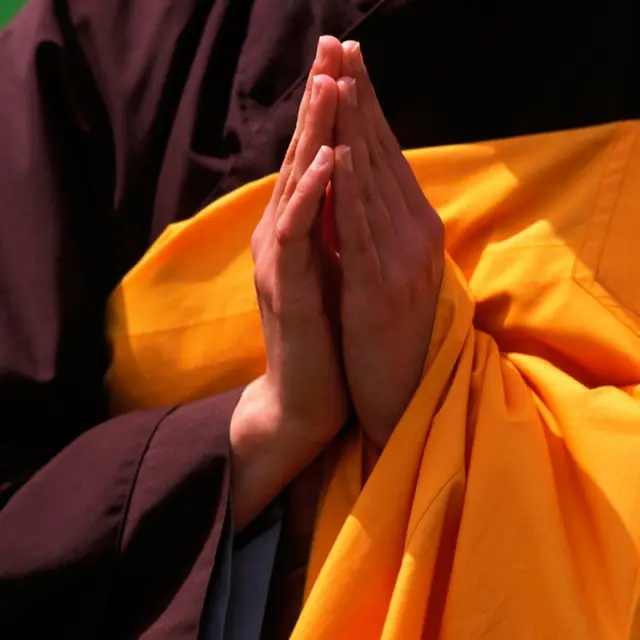 Celebración del Día de Vesak en la Aldea del Ciruelo.