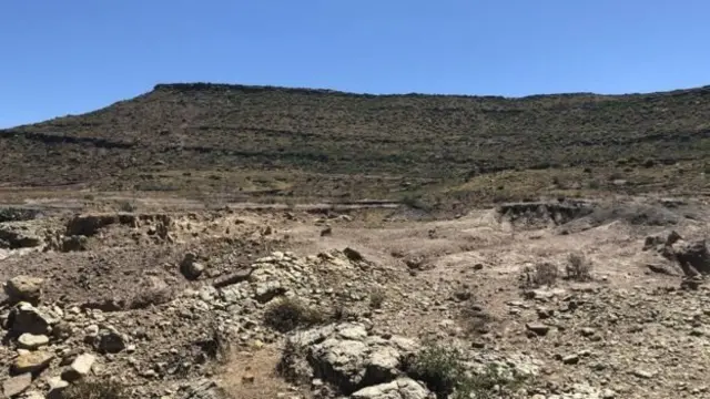 ইস্টার্ন কেইপ প্রদেশে এই ফসিলগুলোর সন্ধান মেলে।