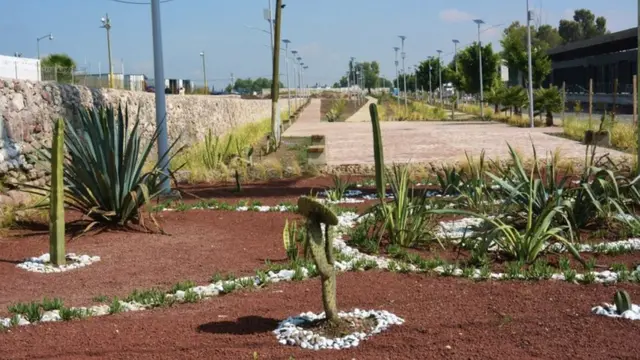 Un parque en el Albarradón de Ecatepec