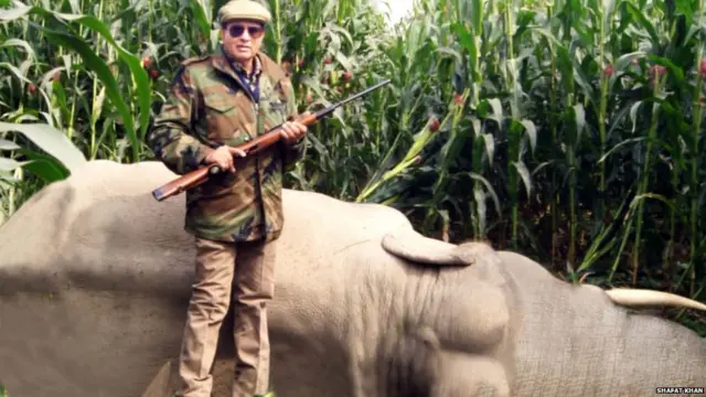 बाघ का शिकार