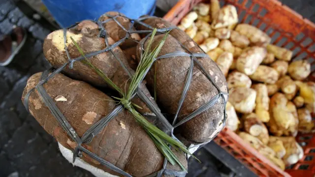 Mandioca amarrada para venda