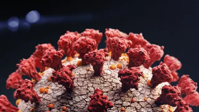 வேலைவாய்ப்பு: இந்திய இளைஞர்களின் எதிர்காலம் இனி எப்படி இருக்கும்? - ஓர் எச்சரிக்கை