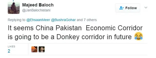 पाकिस्तानी गधे