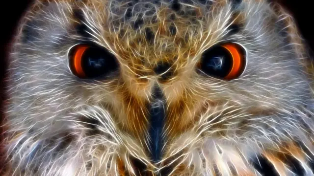 Burung hantu tidak disukai di abad pertengahan