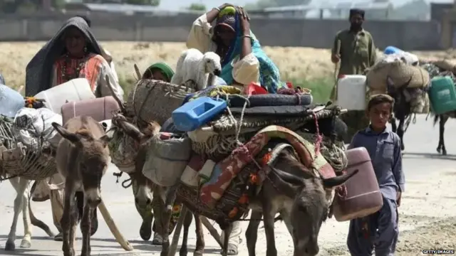 ਲੱਕੜ ਦੀ ਤਸਕਰੀ ਵਿੱਚ ਗਧਿਆਂ ਦੀ ਪੇਸ਼ੀ