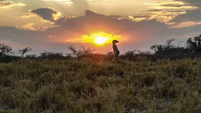 Dabangaale taagan Makgadikgadi Pans oo ay cadceeddu ka sii dhacayso
