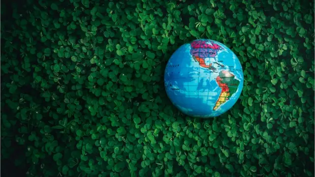 પૃથ્વી દિવસ