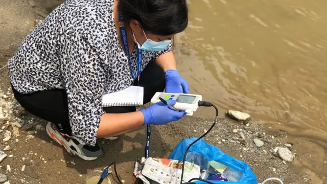 परीक्षण