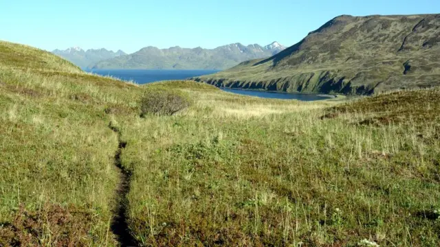 Островной пейзаж