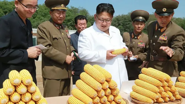지난 2016년 옥수수 가공공장 시찰에 나선 북한 김정은 위원장