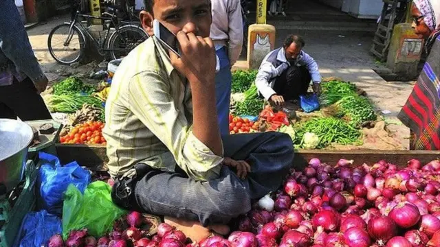 ఉల్లిగడ్డ