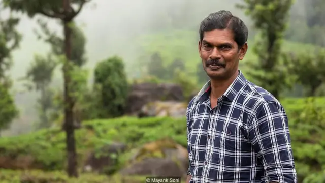 नीलकुरिंजी