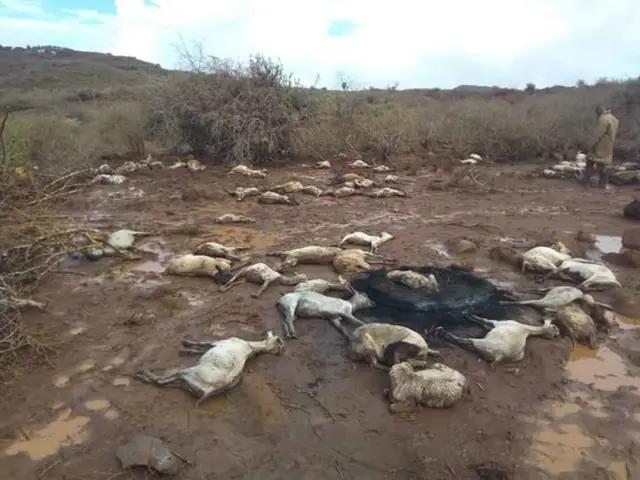 ኢትዮጵያ እና ኬንያ ድንበር ላይ በተከሰተው የጎርፍ አደጋ የሁለት ሰዎች ህይወት አለፈ