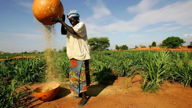 Ведущие натуральное хозяйство крестьяне в случае катастрофы будут иметь преимущество над всеми остальными людьми, поскольку ни от кого не зависят