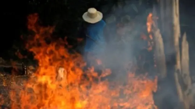 ब्राज़ील के जंगलों में लगी आग