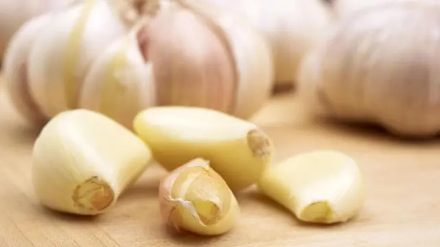 Sarımsağın soyuqdəyməyə qarşı qoruyucu təsirə malik olduğu müəyyən edilib