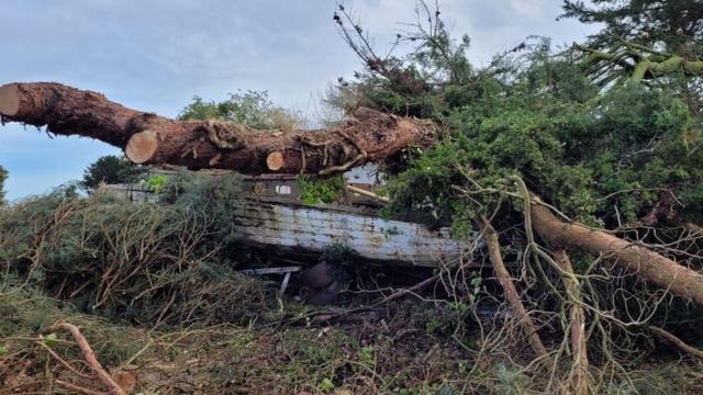 Old boat on the Blackshore : r/CasualUK