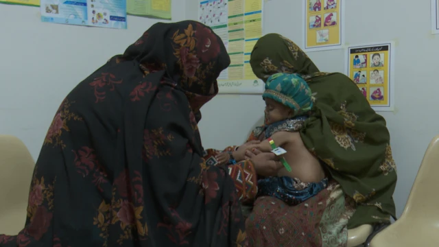 نیوٹریشن سیلز