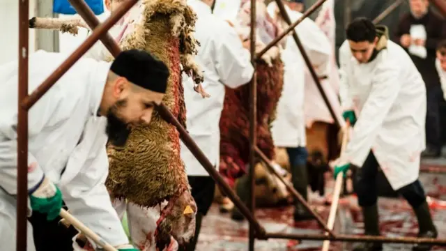 صورة أرشيفية لأحد المسالخ الإسلامية في بلجيكا