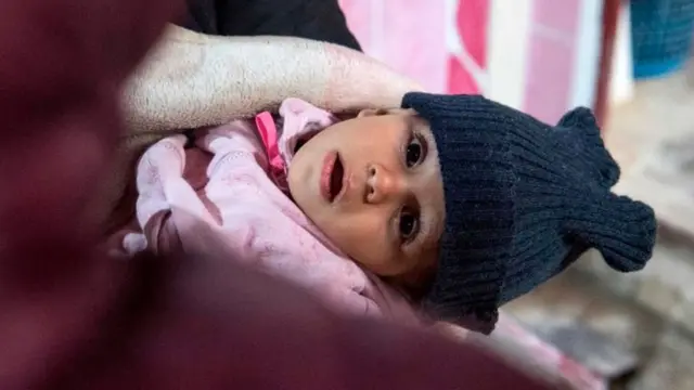 kamp pengungsi al hol