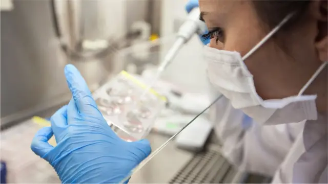 பரிசோதனை