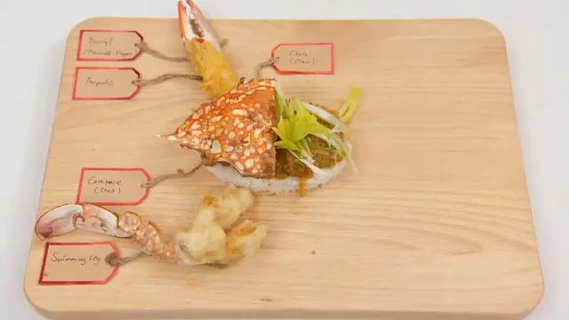 crab anatomy