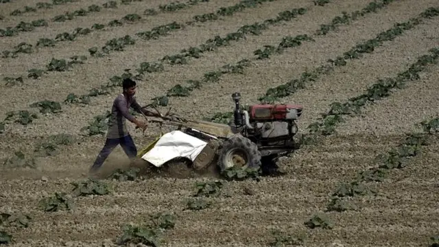 European Pressphoto Agency