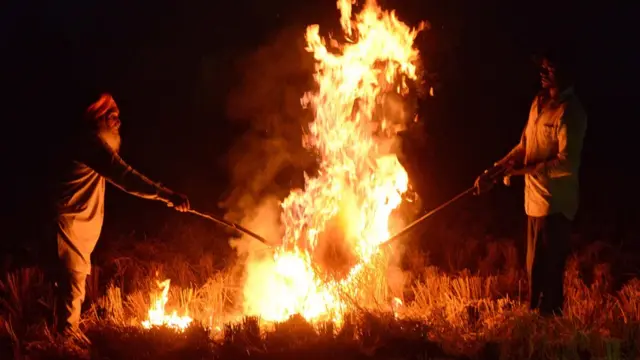 ਪੰਜਾਬ ਵਿੱਚ ਝੋਨੇ ਦੀ ਨਾੜ ਫੂਕਦੇ ਕਿਸਾਨ