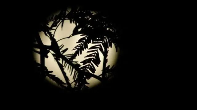 Luna sobre San Pedro de Atacama, Chile (Foto: Katherine Cortes)