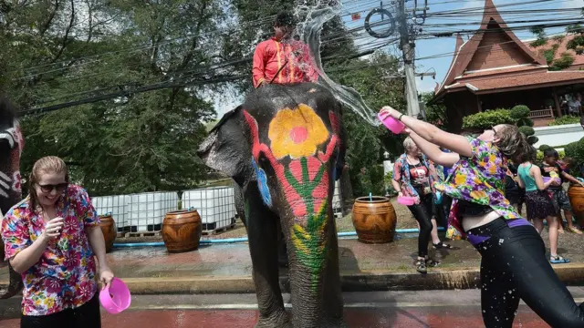 สงกรานต์ช้างที่อยุธยา