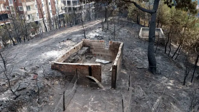 Hatay'daki yangında çok sayıda ev ve iş yeri zarar gördü