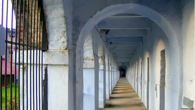 सेल्यूलर जेल