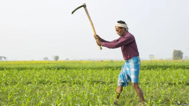 प्रातिनिधिक फोटो