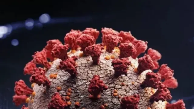 પ્રતીકાત્મક તસવીર