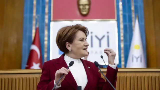 Meral Aksener