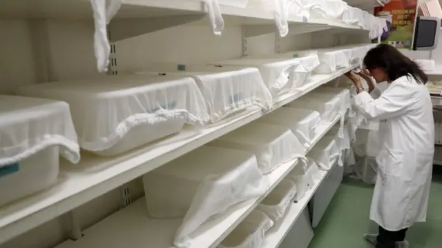 मलेरिया