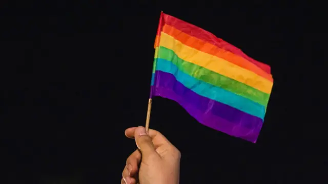 प्राईड फ्लॅग