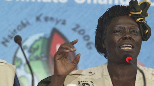 ኬንያዊቷ የማኅብረሰብ አንቂ እአአ 2004 ላይ የኖቤል የሰላም ሽልማትን ያሸነፉ የመጀመሪያዋ ጥቁር ሴት ናቸው።