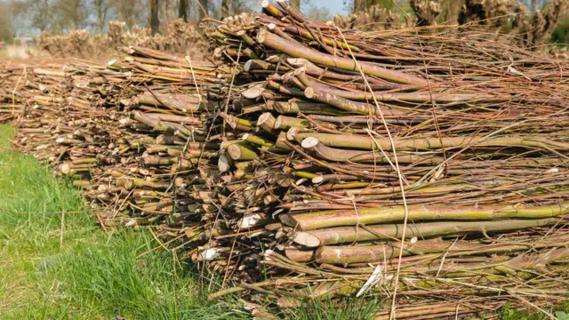 కార్బన్ డయాక్సైడ్, వాతావరణ మార్పులు