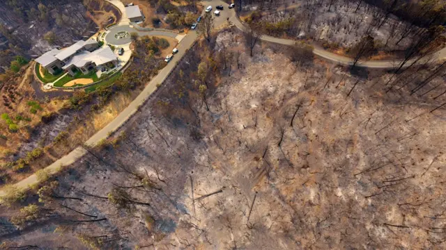 Пожежі в Каліфорнії