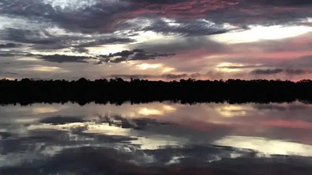 Paisagem do Rio Negro