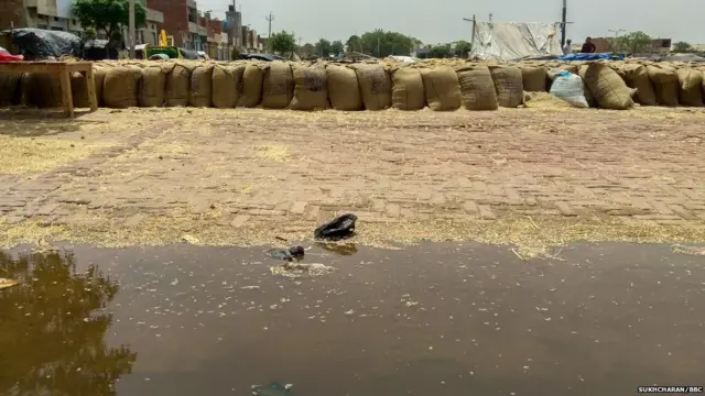 ਬਰਨਾਲਾ ਦੀ ਕਣਕ ਮੰਡੀ