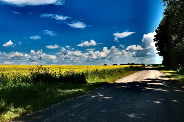 "Краски лета"