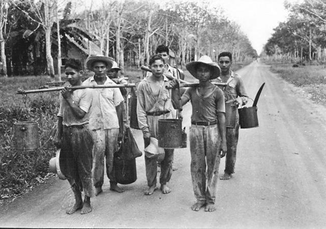 Foto históricacomo criar senha no galera betseringueiroscomo criar senha no galera betuma estradacomo criar senha no galera betterra batida na Amazônia paraense