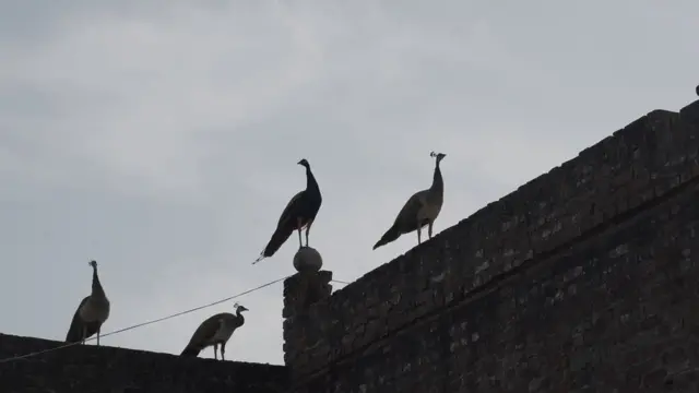 चंबल घाटी