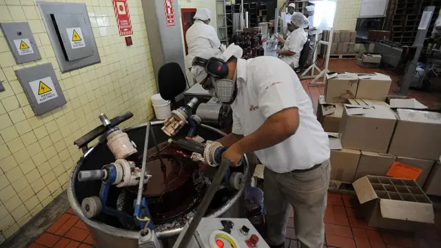 Trabajadores de Ron Santa Teresa.