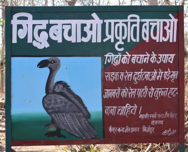 गिद्ध संरक्षण अभियान