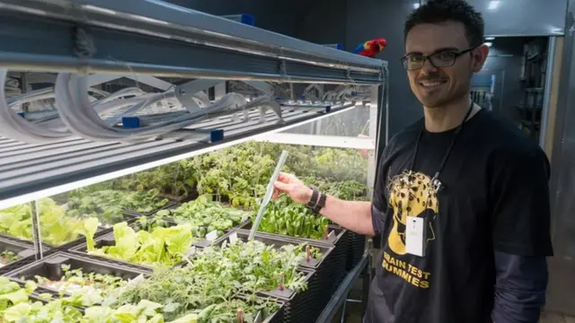 В отдельном отсеке - свой небольшой огород