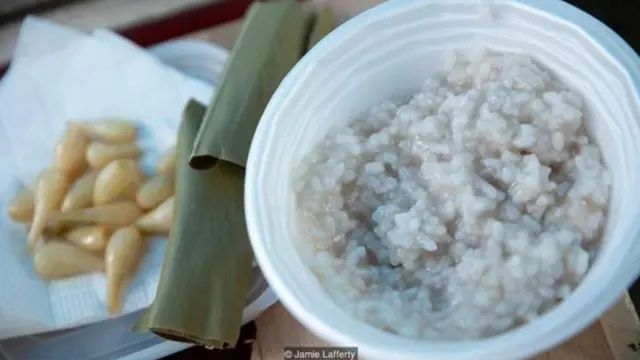 एक पौधे ने कैसे एक जापानी द्वीप को बचाया?